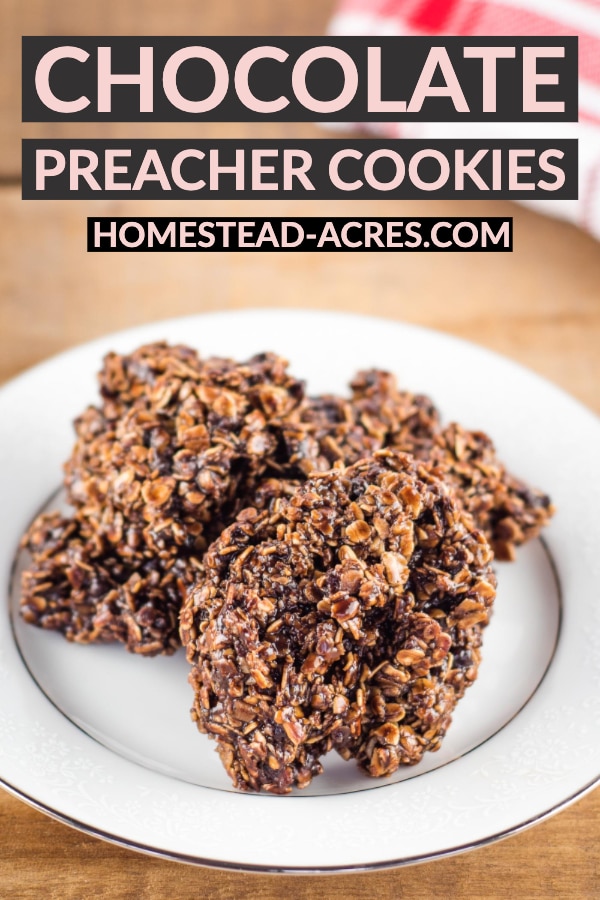 Chocolate Preacher Cookies