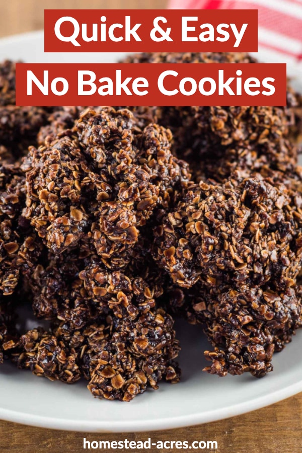 Quick And Easy No Bake Cookies