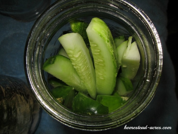 Fill your canning jars with cucumbers