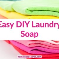 Easy DIY Laundry Soap