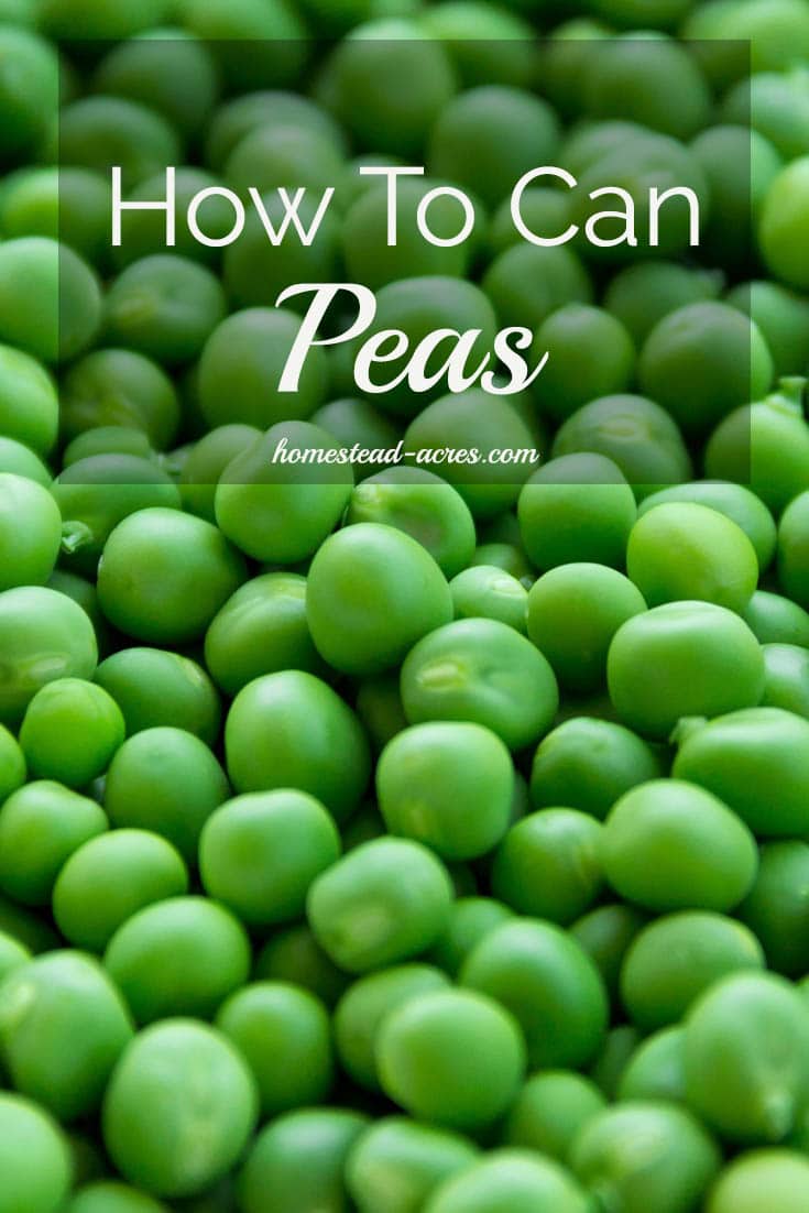 Close up of fresh peas with overlaid text How To Can Peas.