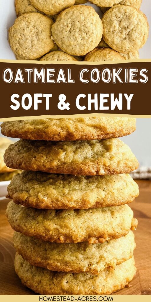 Collage image of a plate of oatmeal cookies and a stack of cookies. Text overlay says Oatmeal Cookies Soft And Chewy.