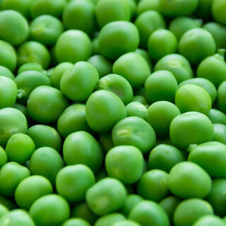 How to can peas | www.homestead-acres.com