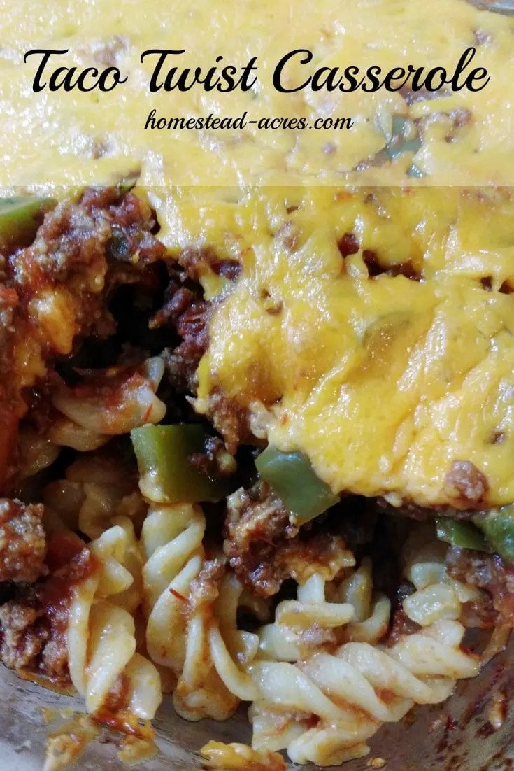 This Taco Twist Casserole is a family favourite recipe. It's so quick and easy to make and freezes great to! | www.homestead-acres.com