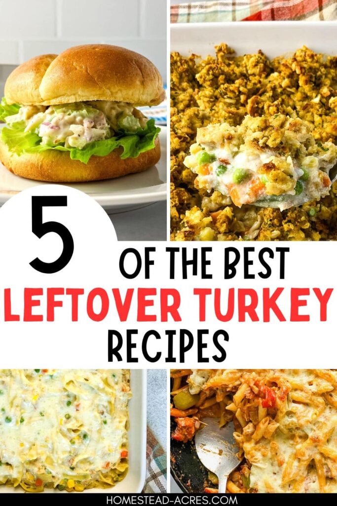 Collage of turkey salad sandwich, turkey and stuffing casserole, turkey noodle casserole, turkey pasta bake. Text overlay says 5 Of The Best Leftover Turkey Recipes.