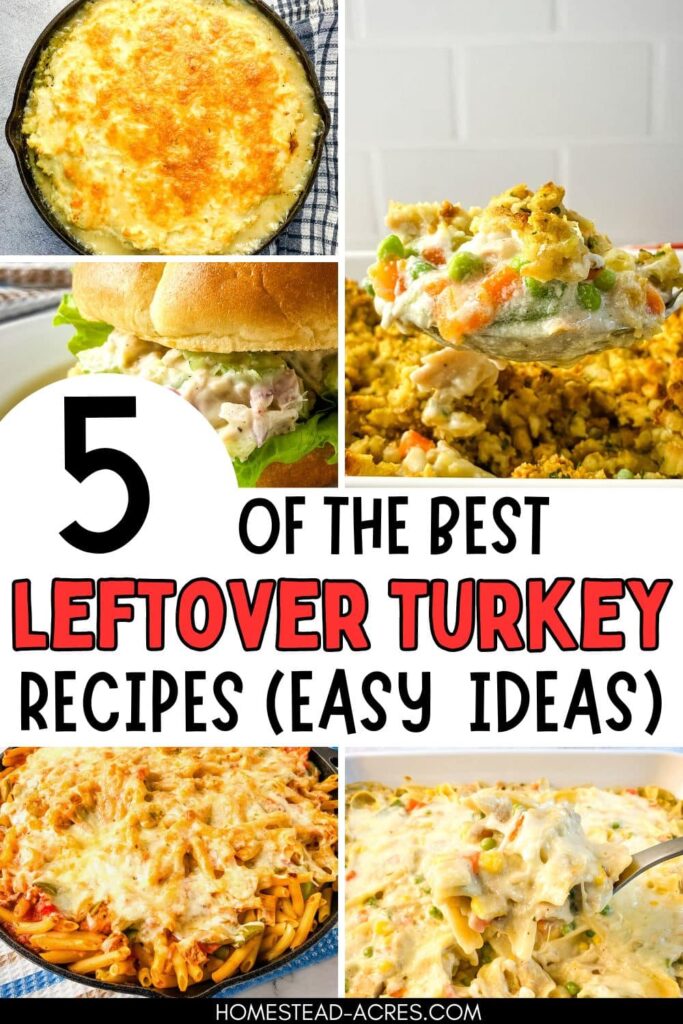Collage of turkey shepherd's pie, turkey salad, turkey and stuffing casserole, baked turkey pasta, turkey and noodle casserole. Text overlay says 5 Of The Best Leftover Turkey Recipes (Easy Ideas).