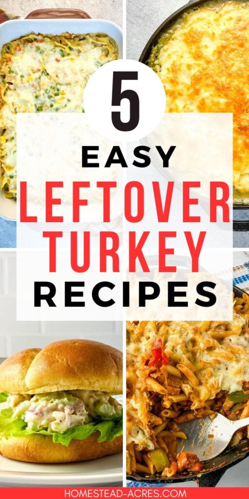 Collage of turkey noodle casserole, turkey shepherd's pie, turkey salad sandwich, turkey pasta bake. Text overlay says 5 Easy Leftover Turkey Recipes.
