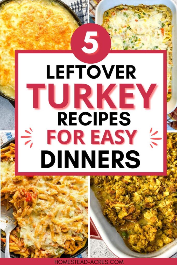 Collage of turkey shepherd's pie, turkey noodle casserole, turkey pasta bake, turkey and stuffing casserole. Text overlay says 5 Leftover Turkey Recipes For Easy Dinners.