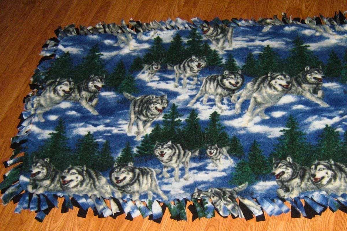 Finished no sew fleece blanket with a blue snowy forest print featuring wolves running among evergreen trees. The blanket is edged with knotted fleece fringe around all sides.