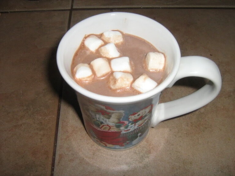 DIY hot chocolate mix | www.homestead-acres.com
