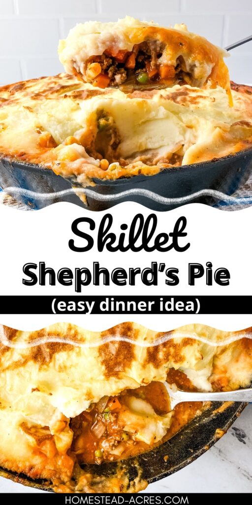 Collage image, top a spoonful of shepherd's pie botton, shepherd's pie in a skillet with some removed. Text overlay says Skillet Shepherd's Pie Easy Dinner Idea.