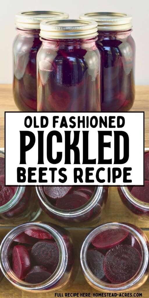 Jars of old fashioned pickled beets filled with deep red beet slices and brine. Text reads "Old fashioned pickled beets recipe".