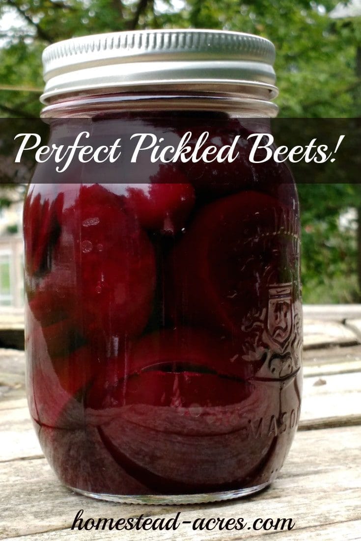 Perfect pickled beets! This is my Grandmothers recipe I've been enjoying since I was a little girl. So easy to make and can to enjoy all year. | www.homestead-acres.com