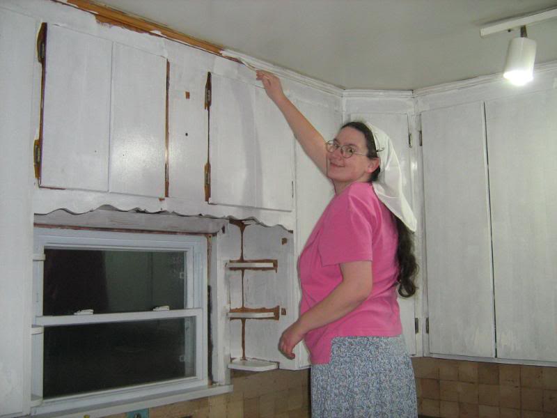 I'm painting my kitchen cupboards white.