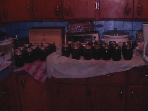 Canning jars cooling on the counter.