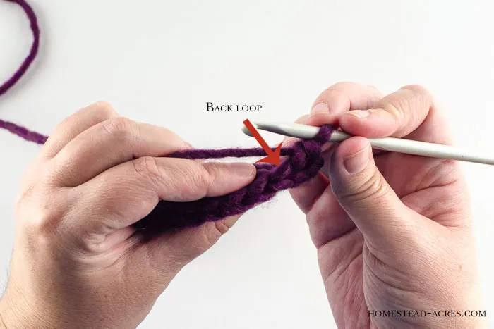 Crochet ribbed hat back loop stitch.