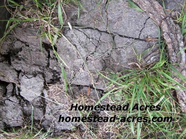 Dry and badly cracked ground in the garden.