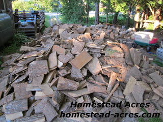 A large pile of slab firewood in a driveway.