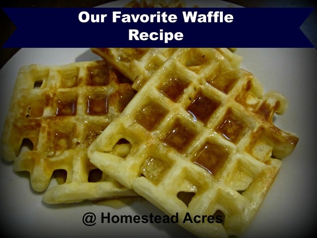 Easy waffle recipe