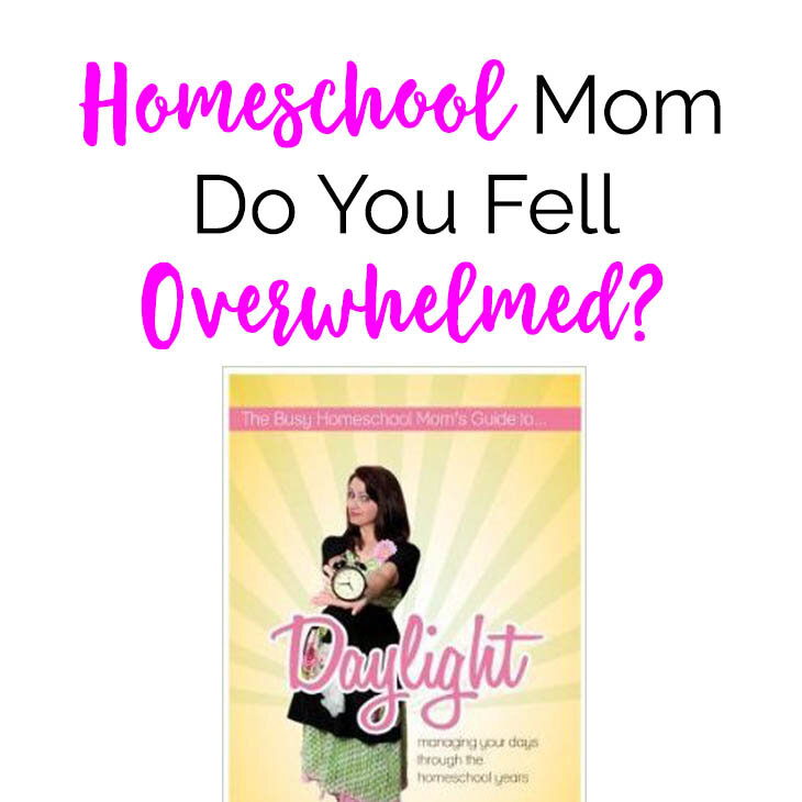 The Busy Homeschool Mom’s Guide To Daylight By Heidi St. John ~ Review