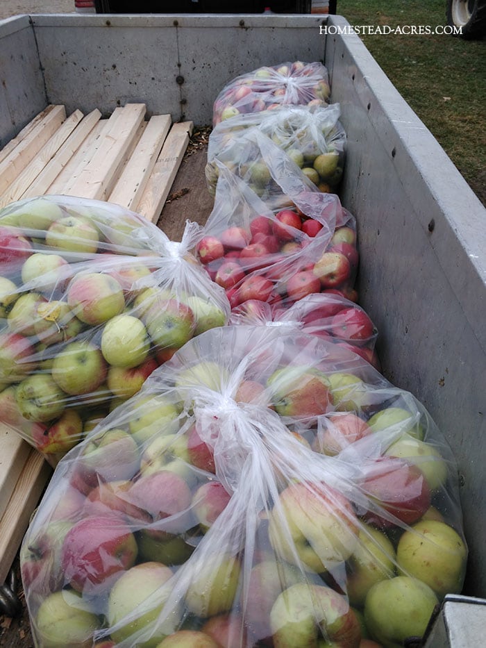 apples & pears