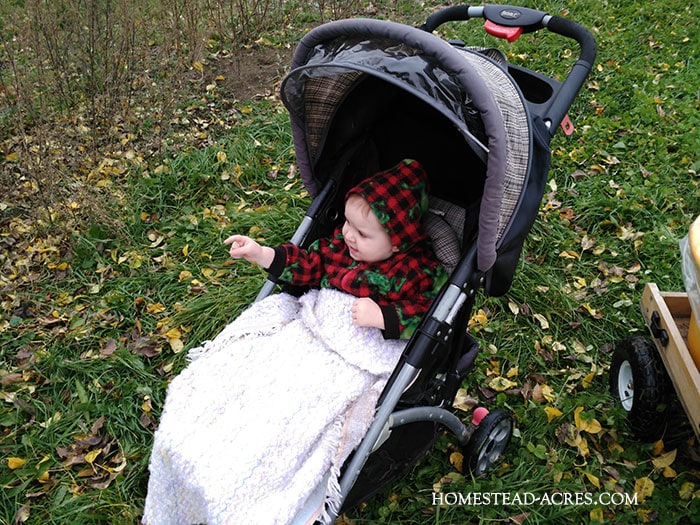 At The Apple Farm
