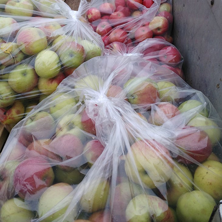 Fresh Apples From The Apple Farm