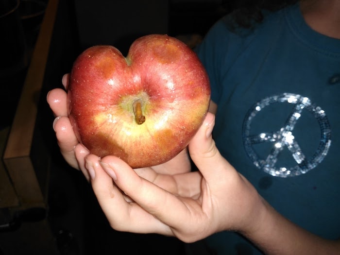 heart shaped apple