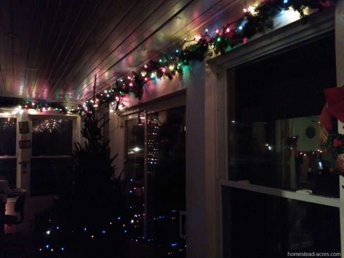 Christmas Lights