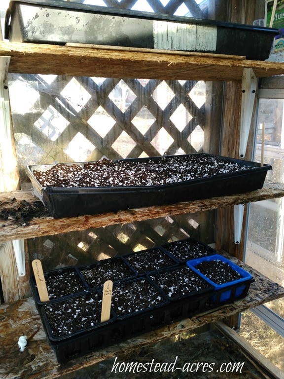 greenhouse