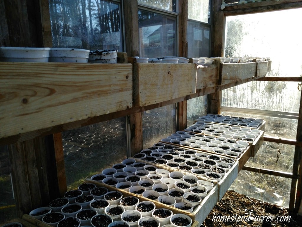 greenhouse