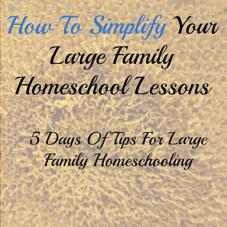 How To Simplify Your Large Family Homeschool Lessons