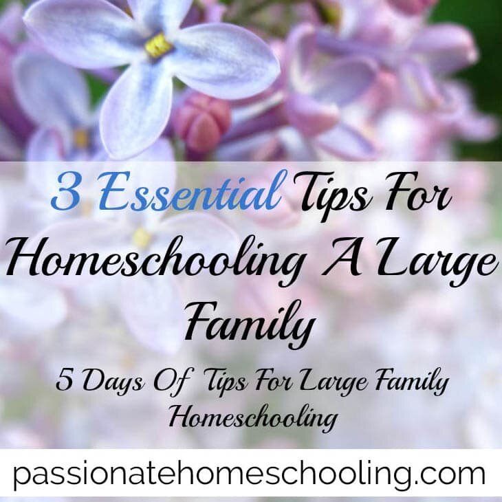 3 Essential Tips For Homeschooling A Large Family