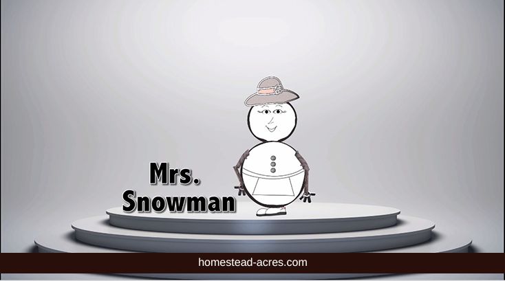 Mrs. Snowman on a stage teaching a math lesson.