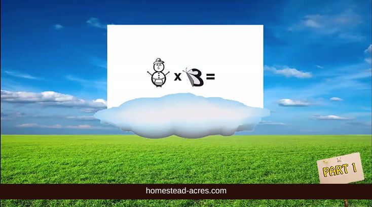 Video math fact flash cards.