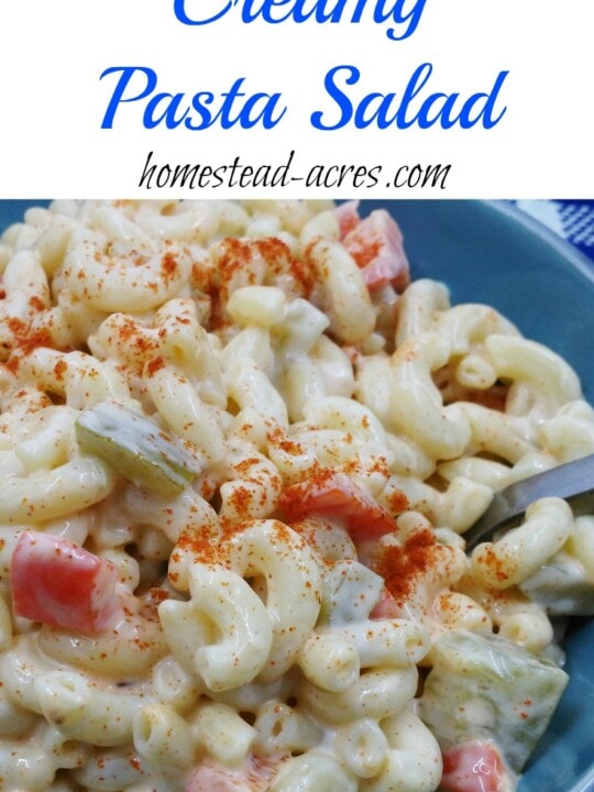 Creamy Pasta Salad Recipe | www.homestead-acres.com This is my families favourite pasta salad! It is so easy to make up a head of time or at the last minute. A great addition to your BBQ or potluck. Need a full meal? Just add some diced chicken breast, perfect for a cold supper on a hot summer night.