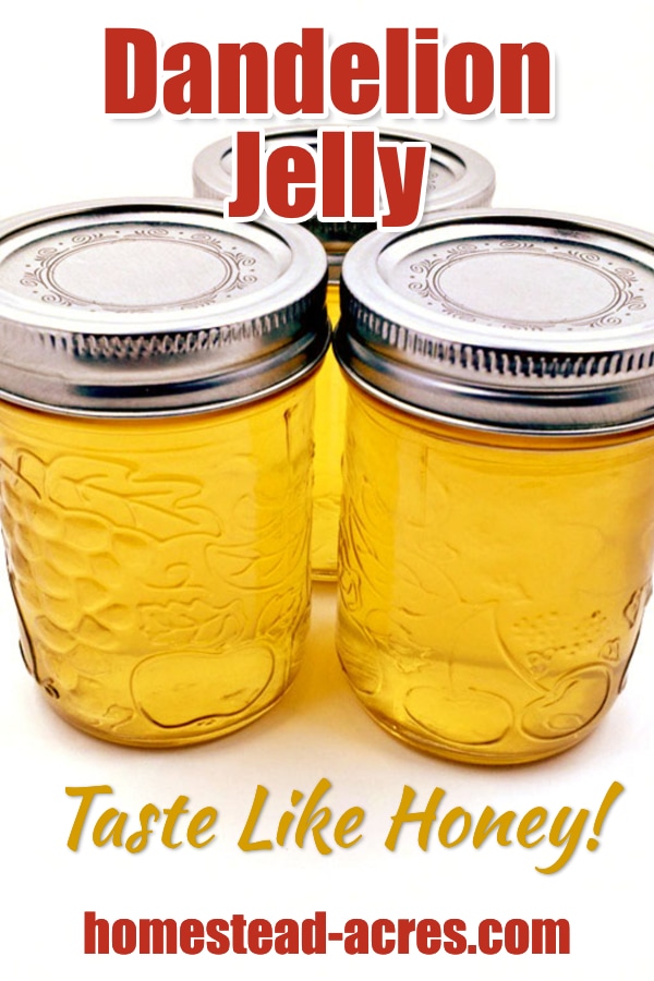 Dandelion Jelly Taste Like Honey! text overlaid on a photo of 3 jars of yellow dandelion jelly.