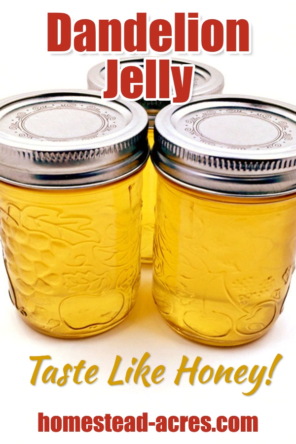 Dandelion Jelly Taste Like Honey! text overlaid on a photo of 3 jars of yellow dandelion jelly.