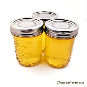 Dandelion jelling in canning jars | www.homestead-acres.com