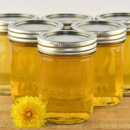 Six jars of dandelion jelly sitting on a wooden table next to a fresh dandelion flower.