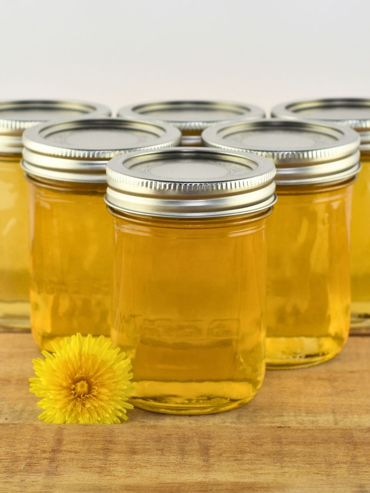 Six jars of dandelion jelly sitting on a wooden table next to a fresh dandelion flower.