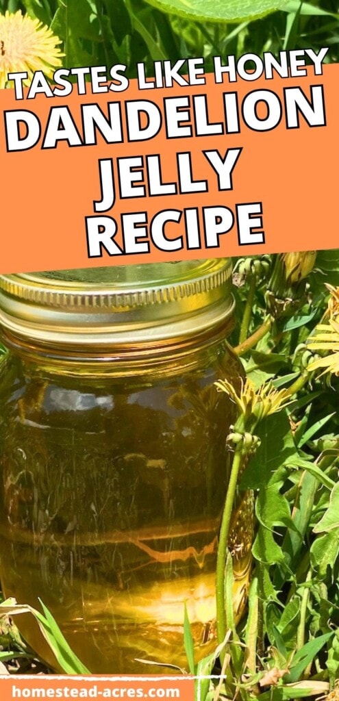 A pint jar of dandelion jelly sitting on a log in a field of dandelion flowers. The text overlay says Tastes Like Honey Dandelion Jelly Recipe.