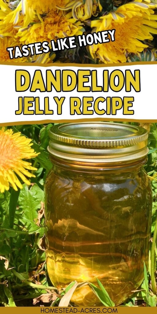 A collage of dandelion flowers and a jar of dandelion jelly sitting outside next to flowers. The text overlay says Taste Like Honey Dandelion Jelly Recipe.