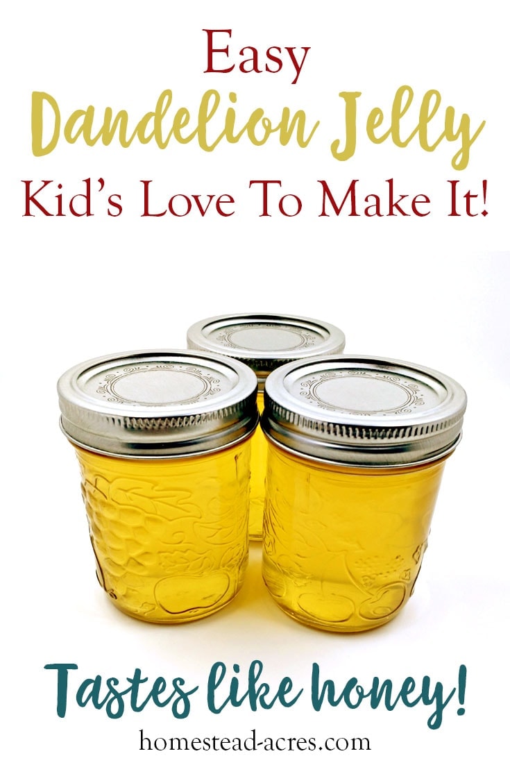 Easy Dandelion Jelly Kid's Love To Make It text overlaid on a photo of 3 jars of dandelion jelly.
