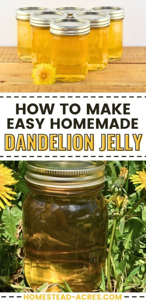 A collage of jars of dandelion jelly on a wooden table and sitting on a log in a field of dandelion flowers. The text overlay says How To Make Easy Homemade Dandelion Jelly.