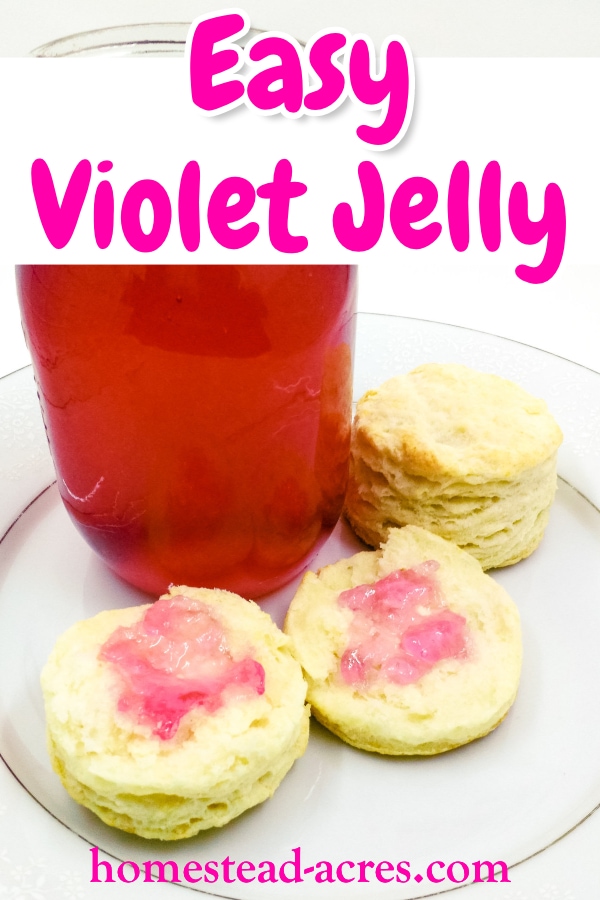 Easy Violet Jelly text overlaid on a photo of violet jelly in a jar and spread on a biscuit.
