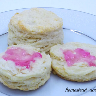 Wild Violet Jelly and Biscuits. This wild violet jelly recipe is so good!