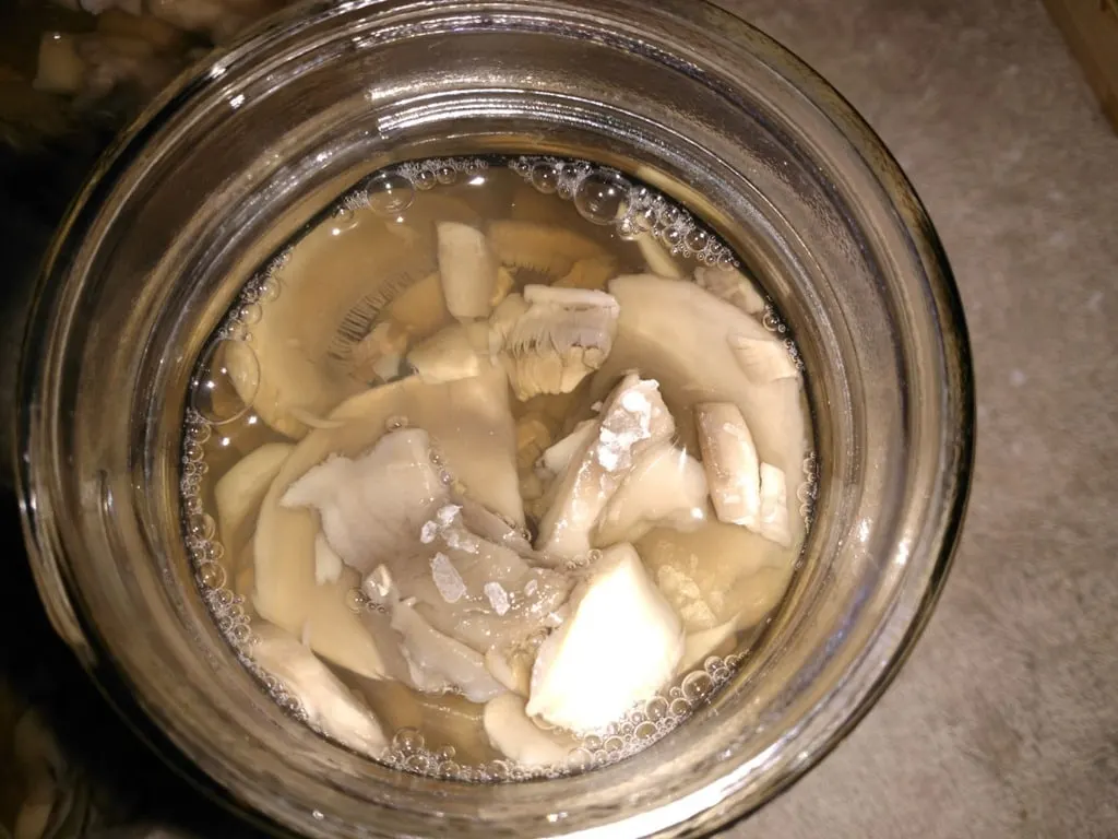 Mason jar filled with sliced mushrooms and covered with water.
