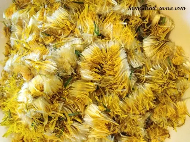 Dandelion flower petals removed from the greens.
