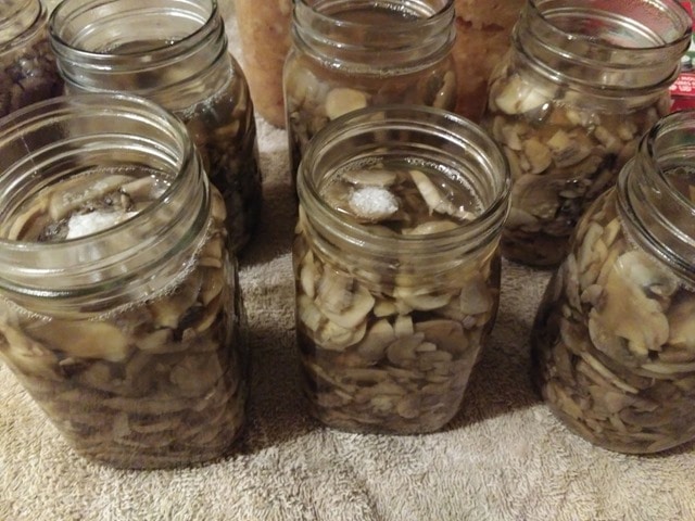 Fill canning jars with mushrooms.